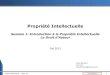 Cours de propriete intellectuelle ( introduction et droit d'auteur) pour les entrepreneurs - HEC 2012 - Céline Bondard