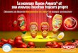 Amora Mini Guide Campagne TesterTout