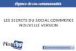 Les secrets du social commerce 2012