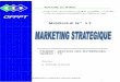 marketing stratgique agc-tsge-