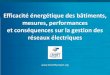 Efficacité énergétique des bâtiments, mesures, performances et conséquences sur la gestion des réseaux électriques, par Didier Roux