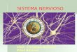 Sistema Nervioso c. Pitot