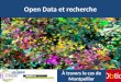 Open Data et recherche, le cas de la Ville de Montpellier