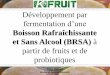 Développement par fermentation d'une boisson rafraichissante et sans alcool (BRSA) à partir de fruits et de probiotiques - Valoriser les fruits et légumes méditerranéens par les