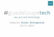 GuadeloupeTech Semaine Ecole Entreprise 2013