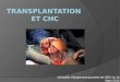 Transplantation et chc