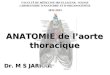 8- Aorte thoracique