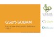 GSoft-SOBAM - La course des petits bateaux 2013