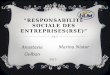 Responsabilité sociale des entreprises(rse)