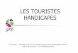 GIHP Aquitaine - Les attentes du touriste handicapé - Formation MOPA 13 & 14 12 2010