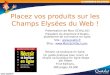 Placez vos produits sur les Champs Elysees du Web - Oxatis