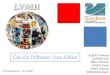 Nos projets - Pojets 4A - Cas La Tribune - Les Echos - Prés