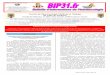 Le bulletin du Bip31