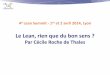 Le Lean, rien que du bon sens ? par Cécile Roche de Thales - Lean Summit France 2014