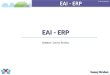 EAI/ERP - Petit cours sur le principe du EAI/ERP, Microsoft BizTalk 2006 & Microsoft Dynamics NAV 2009