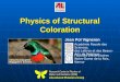Physics of Structural Coloration Research Center in Physics of Matter and Radiation (PMR) Life-induced Photonics Group Académie Royale des Sciences, des