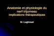 Anatomie et physiologie du nerf trijumeau Implications thérapeutiques M. Laghmari