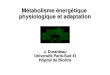 Métabolisme énergétique physiologique et adaptation J. Duranteau Université Paris-Sud XI Hôpital de Bicêtre