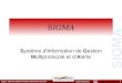 SIGMA ©2004 Paratronic Sigma : Outil de collecte et d'aide à la prévision de crues1 SIGMA Système dInformation de Gestion Multiprotocole et dAlerte