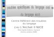 Centre Référent des troubles du langage CHU LArchet II NICE Mme Agnès Szikora / Aynaud (Carros octobre 2008)