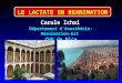 Carole Ichai Département d'Anesthésie-Réanimation-Est CHU de Nice LE LACTATE EN REANIMATION