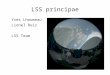 LSS principae Yves Lhoumeau Lionel Ruiz LSS Team