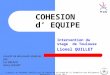 COHESION d EQUIPE Intervention du stage de Toulouse Lionel QUILLET A partir du document réalisé par le comité de pilotage de la formation des dirigeants