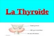 La Thyroïde. endocrine: I -généralités: La thyroïde est une glande endocrine: Impaire et médiane. Volumineuse. Pesant 20 à 30gr. Située à la face antérieure