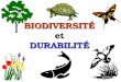 BIODIVERSITÉ et DURABILITÉ. Sommaire Quest-ce que la biodiversité? Quest-ce que la durabilité? Comment la biodiversité contribue à la durabilité?