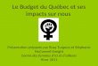 Le Budget du Québec et ses impacts sur nous Présentation préparée par Rosa Turgeon et Stéphanie McConnell-Enright Centre des femmes dici et dailleurs Hiver