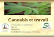 Cannabis et travail « Entreprises et stupéfiants » SRE 29 28/09/2010 Dr BODENES Alexandra STI Brest