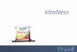 VitaNess. I.Les yaourts et la santé active II.La stratégie de VitaNess III.Le plan daction : le mix marketing VitaNess IV.Les budgets prévisionnels