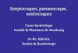 Streptocoques, pneumocoque, entérocoques Cours bactériologie Faculté de Pharmacie de Strasbourg Dr Ph. RIEGEL Institut de Bactériologie