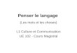 Penser le langage (Les mots et les choses) L1 Culture et Communication UE 102 - Cours Magistral