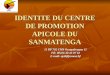 IDENTITE DU CENTRE DE PROMOTION APICOLE DU SANMATENGA 11 BP 792 CMS Ouagadougou 11 Tél: 00226 40 45 07 62 E-mail: apil@fasonet.bf