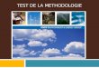 TEST DE LA METHODOLOGIE. Les étapes des évaluations sectorielles des I&FF