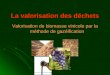La valorisation des déchets Valorisation de biomasse vinicole par la méthode de gazéification