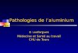 Pathologies de laluminium G Lasfargues Médecine et Santé au travail CHU de Tours