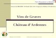 1 Vins de Graves Château dArdennes Cours du 08/12/08: Verticale des vins rouge du château dArdennes Rédacteur: Mr X.ROISNEL Validé par les œnologues de