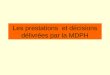 Les prestations et décisions délivrées par la MDPH