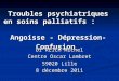 Troubles psychiatriques en soins palliatifs : Angoisse - Dépression-Confusion Dr REICH Michel Centre Oscar Lambret 59020 Lille 8 décembre 2011