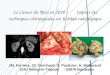 Le Cancer du Rein en 2010 : Impact des techniques chirurgicales sur le bilan radiologique JM. Ferrière, JC. Bernhard, G. Pasticier, H. Wallerand CHU Pellegrin-Tripode-