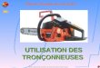 Service Départemental dIncendie et de Secours des Alpes de Haute Provence Rôle de léquipier feux de forêts UTILISATION DES TRONÇONNEUSES