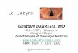 Www.gustavedabresil.vpweb.fr Le larynx Gustave DABRESIL, MD ORL-CCMF, Imagerie diagnostique Radiothérapie et Oncologie Médicale gdabresil@hotmail.com 3404-1928