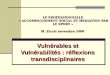 LP PROFESSIONNELLE « ACCOMPAGNEMENT SOCIAL ET MEDIATION PAR LE SPORT » M. Zicola novembre 2008 Vulnérables et Vulnérabilités : réflexions transdisciplinaires