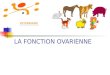 LA FONCTION OVARIENNE V. Gayrard Ecole Nationale Vétérinaire de Toulouse Unité Associée INRA de Physiopathologie et Toxicologie Expérimentales 23, Chemin