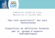 Commission locale de l'eau Réunion du 11 juillet 2011 "Bon état quantitatif" des eaux souterraines Proposition de définition formulée par le groupe d'experts