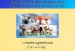 PROJET LIBERTÉ SYNDICALE Centre international de formation de lOIT (C.87 et C.98) Liberté syndicale