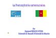 Repères historiques 1884-1919 : Colonisation allemande 1919-1945 : Cameroun sous mandat français et anglais par la SDN 01 janvier 1960 : Indépendance