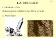 1/76 LA CELLULE I- GENERALITES Organisation cellulaire des êtres vivants 1- Historique